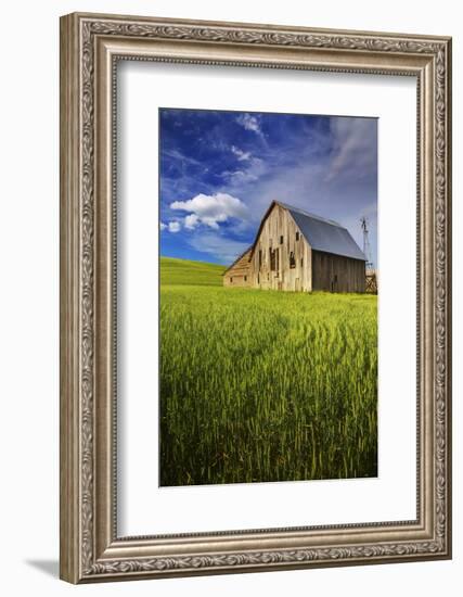 Old Barn Surrounded by Spring Wheat Field, Pr-Terry Eggers-Framed Photographic Print