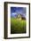 Old Barn Surrounded by Spring Wheat Field, Pr-Terry Eggers-Framed Photographic Print