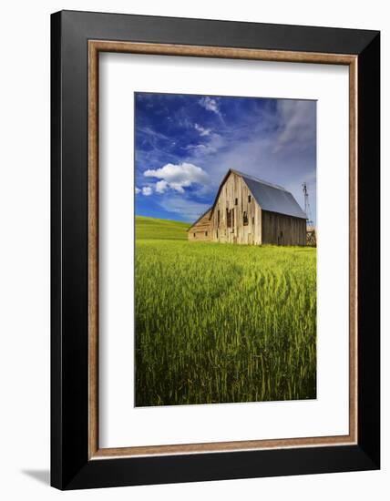 Old Barn Surrounded by Spring Wheat Field, Pr-Terry Eggers-Framed Photographic Print