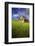 Old Barn Surrounded by Spring Wheat Field, Pr-Terry Eggers-Framed Photographic Print