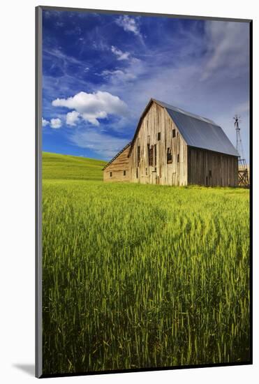 Old Barn Surrounded by Spring Wheat Field, Pr-Terry Eggers-Mounted Photographic Print