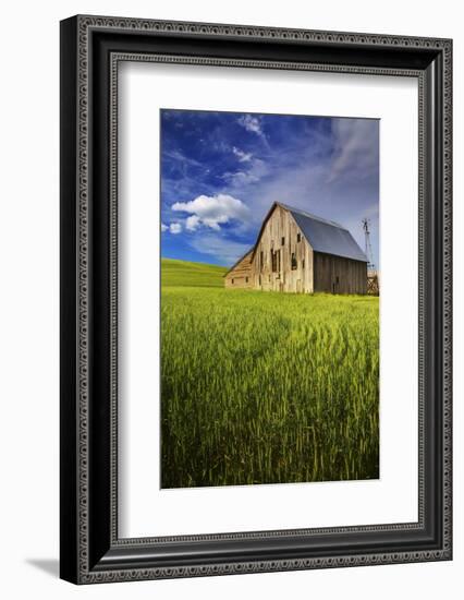 Old Barn Surrounded by Spring Wheat Field, Pr-Terry Eggers-Framed Photographic Print