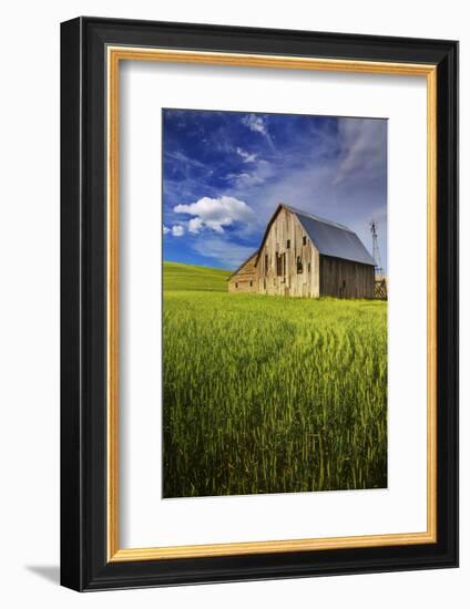 Old Barn Surrounded by Spring Wheat Field, Pr-Terry Eggers-Framed Photographic Print