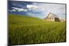 Old Barn Surrounded by Spring Wheat Field, Pr-Terry Eggers-Mounted Photographic Print