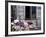 Old Barn with Cat in the Window, Whitman County, Washington, USA-Julie Eggers-Framed Photographic Print