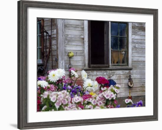 Old Barn with Cat in the Window, Whitman County, Washington, USA-Julie Eggers-Framed Photographic Print