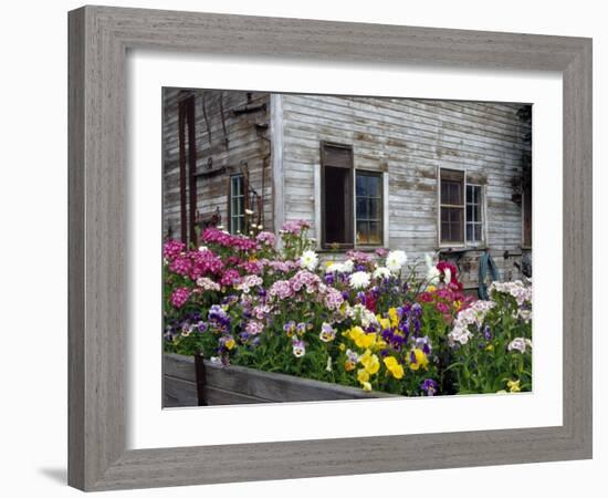 Old Barn with Cat in the Window, Whitman County, Washington, USA-Julie Eggers-Framed Photographic Print