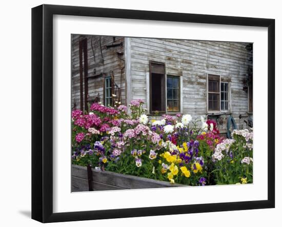 Old Barn with Cat in the Window, Whitman County, Washington, USA-Julie Eggers-Framed Photographic Print