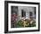 Old Barn with Cat in the Window, Whitman County, Washington, USA-Julie Eggers-Framed Photographic Print