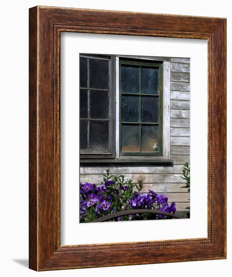 Old Barn with Cat in the Window, Whitman County, Washington, USA-Julie Eggers-Framed Photographic Print