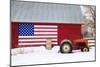 Old Barn with Flag-Jason Savage-Mounted Art Print