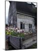 Old Barn with Wagon in Meadow, Whitman County, Washington, USA-Julie Eggers-Mounted Photographic Print