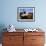 Old Barrel and Storage Tank, Saint Martin, Caribbean-Greg Johnston-Framed Photographic Print displayed on a wall