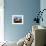 Old Barrel and Storage Tank, Saint Martin, Caribbean-Greg Johnston-Framed Photographic Print displayed on a wall