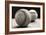 Old Baseballs-Edward M. Fielding-Framed Photographic Print