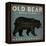 Old Bear-Ryan Fowler-Framed Stretched Canvas