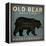 Old Bear-Ryan Fowler-Framed Stretched Canvas