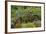 Old Bicycle with Flower Basket in Garden with Zinnias, Marion County, Illinois-Richard and Susan Day-Framed Photographic Print