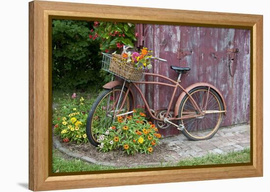 Old Bicycle with Flower Basket Next to Old Outhouse Garden Shed. Marion County, Illinois-Richard and Susan Day-Framed Premier Image Canvas