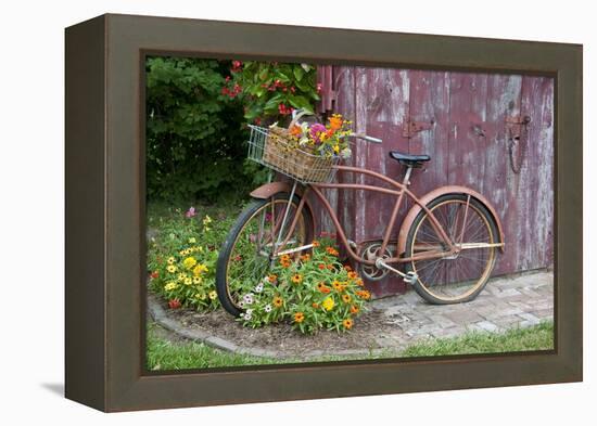 Old Bicycle with Flower Basket Next to Old Outhouse Garden Shed. Marion County, Illinois-Richard and Susan Day-Framed Premier Image Canvas