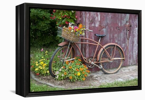 Old Bicycle with Flower Basket Next to Old Outhouse Garden Shed. Marion County, Illinois-Richard and Susan Day-Framed Premier Image Canvas