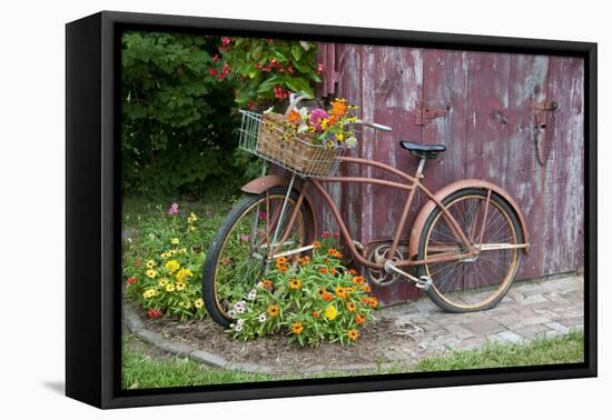 Old Bicycle with Flower Basket Next to Old Outhouse Garden Shed. Marion County, Illinois-Richard and Susan Day-Framed Premier Image Canvas