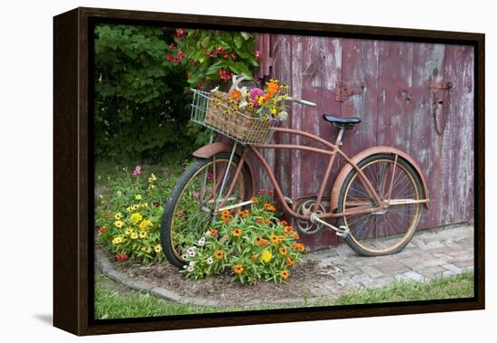 Old Bicycle with Flower Basket Next to Old Outhouse Garden Shed. Marion County, Illinois-Richard and Susan Day-Framed Premier Image Canvas