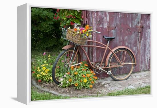 Old Bicycle with Flower Basket Next to Old Outhouse Garden Shed. Marion County, Illinois-Richard and Susan Day-Framed Premier Image Canvas