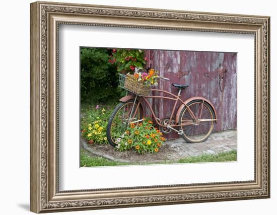 Old Bicycle with Flower Basket Next to Old Outhouse Garden Shed. Marion County, Illinois-Richard and Susan Day-Framed Photographic Print