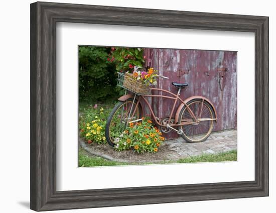 Old Bicycle with Flower Basket Next to Old Outhouse Garden Shed. Marion County, Illinois-Richard and Susan Day-Framed Photographic Print