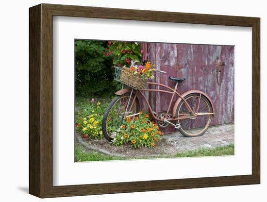 Old Bicycle with Flower Basket Next to Old Outhouse Garden Shed. Marion County, Illinois-Richard and Susan Day-Framed Photographic Print