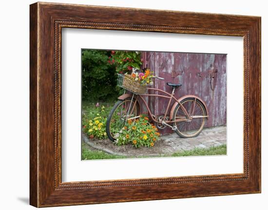 Old Bicycle with Flower Basket Next to Old Outhouse Garden Shed. Marion County, Illinois-Richard and Susan Day-Framed Photographic Print