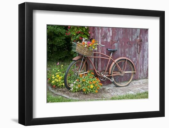 Old Bicycle with Flower Basket Next to Old Outhouse Garden Shed. Marion County, Illinois-Richard and Susan Day-Framed Photographic Print