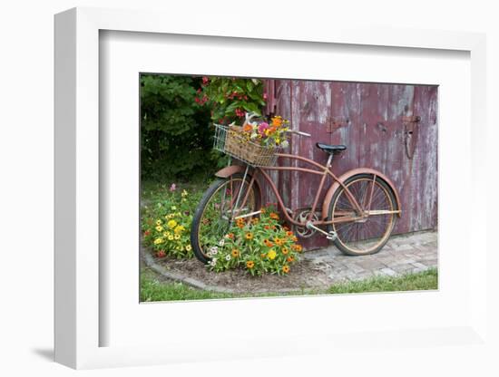 Old Bicycle with Flower Basket Next to Old Outhouse Garden Shed. Marion County, Illinois-Richard and Susan Day-Framed Photographic Print