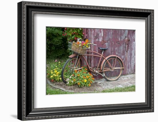 Old Bicycle with Flower Basket Next to Old Outhouse Garden Shed. Marion County, Illinois-Richard and Susan Day-Framed Photographic Print