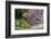 Old Bicycle with Flower Basket Next to Old Outhouse Garden Shed. Marion County, Illinois-Richard and Susan Day-Framed Photographic Print