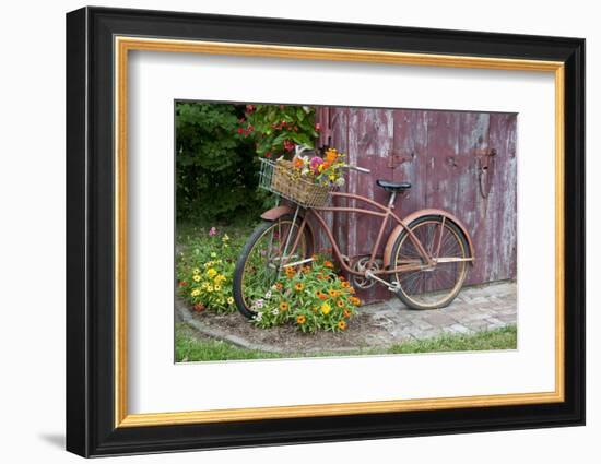 Old Bicycle with Flower Basket Next to Old Outhouse Garden Shed. Marion County, Illinois-Richard and Susan Day-Framed Photographic Print