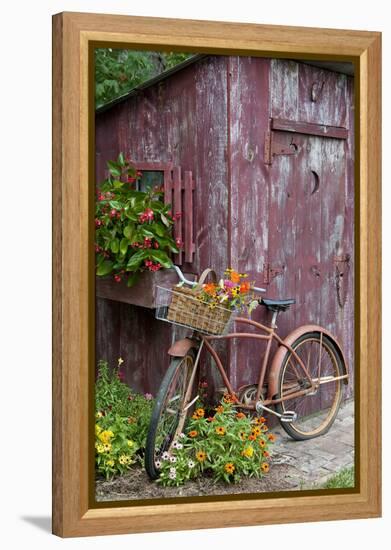 Old Bicycle with Flower Basket Next to Old Outhouse Garden Shed-Richard and Susan Day-Framed Premier Image Canvas