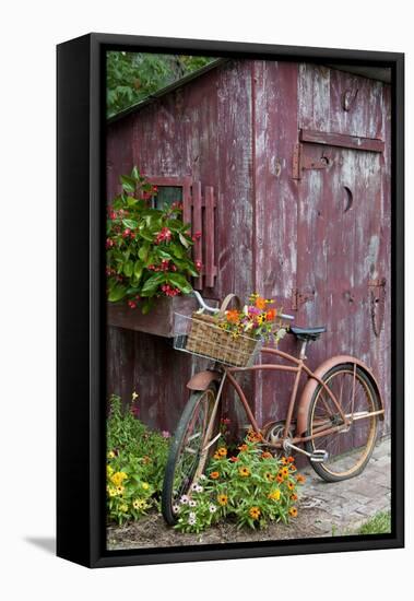 Old Bicycle with Flower Basket Next to Old Outhouse Garden Shed-Richard and Susan Day-Framed Premier Image Canvas