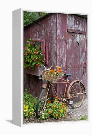 Old Bicycle with Flower Basket Next to Old Outhouse Garden Shed-Richard and Susan Day-Framed Premier Image Canvas