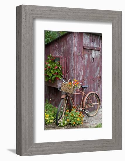 Old Bicycle with Flower Basket Next to Old Outhouse Garden Shed-Richard and Susan Day-Framed Photographic Print