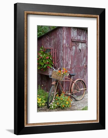 Old Bicycle with Flower Basket Next to Old Outhouse Garden Shed-Richard and Susan Day-Framed Photographic Print
