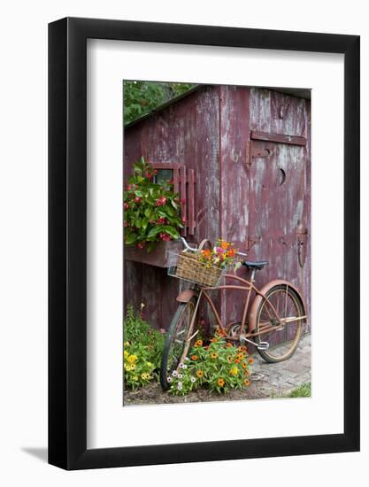 Old Bicycle with Flower Basket Next to Old Outhouse Garden Shed-Richard and Susan Day-Framed Photographic Print