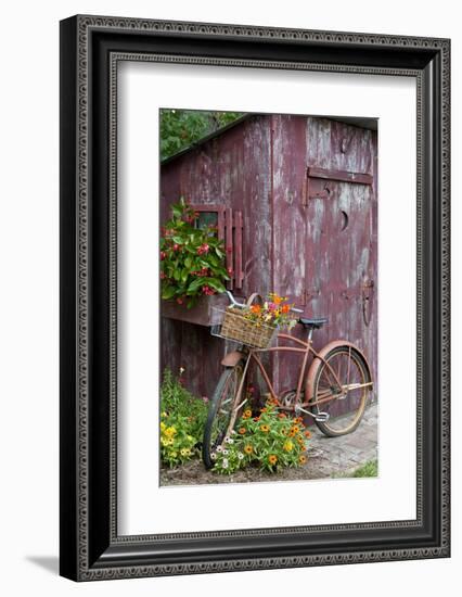 Old Bicycle with Flower Basket Next to Old Outhouse Garden Shed-Richard and Susan Day-Framed Photographic Print