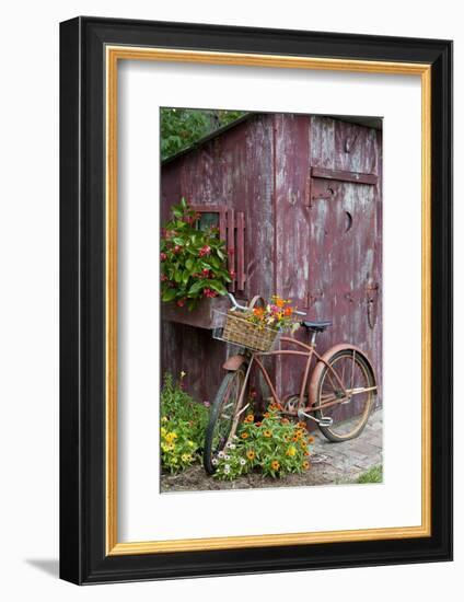 Old Bicycle with Flower Basket Next to Old Outhouse Garden Shed-Richard and Susan Day-Framed Photographic Print