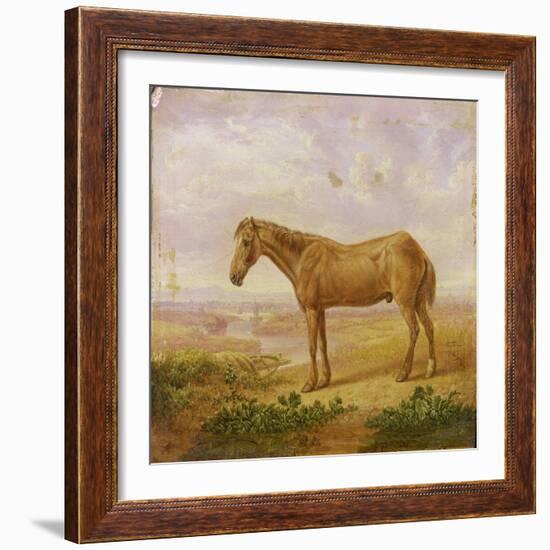 Old Billy, a Draught Horse, Aged 62 (Oil on Panel)-Charles Towne-Framed Giclee Print