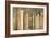 Old Books on a Shelf-Tom Quartermaine-Framed Giclee Print