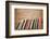 Old Books On A Wooden Shelf. No Labels, Blank Spine-donatas1205-Framed Photographic Print