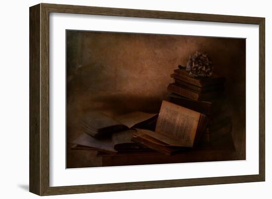 Old Books-Delphine Devos-Framed Photographic Print