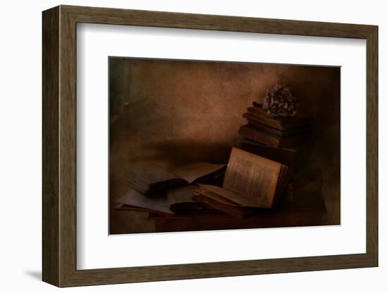 Old Books-Delphine Devos-Framed Photographic Print